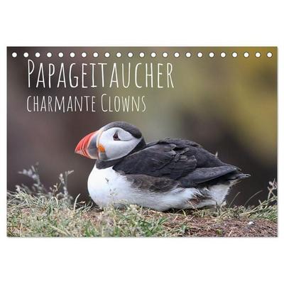 Papageitaucher - charmante Clowns (Tischkalender 2026 DIN A5 quer), CALVENDO Monatskalender