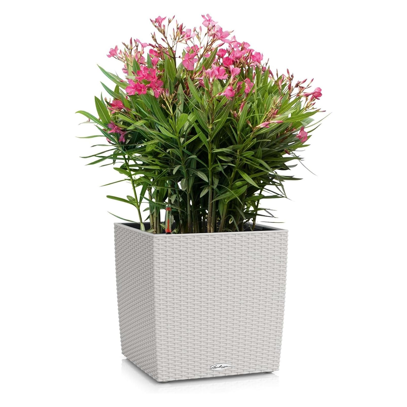 Lechuza Blumentopf Cube Cottage 40 (39 x 39 x 70 cm) (15387)