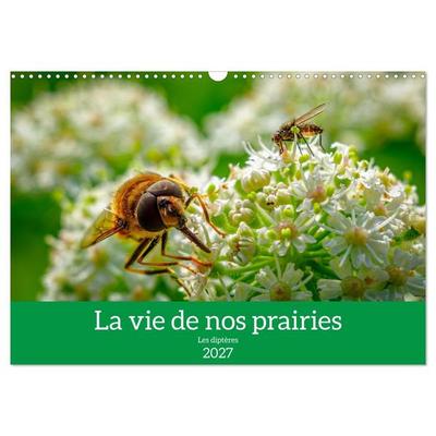 La vie de nos prairies - Les diptères (Calendrier mural 2027 DIN A3 vertical), CALVENDO calendrier mensuel