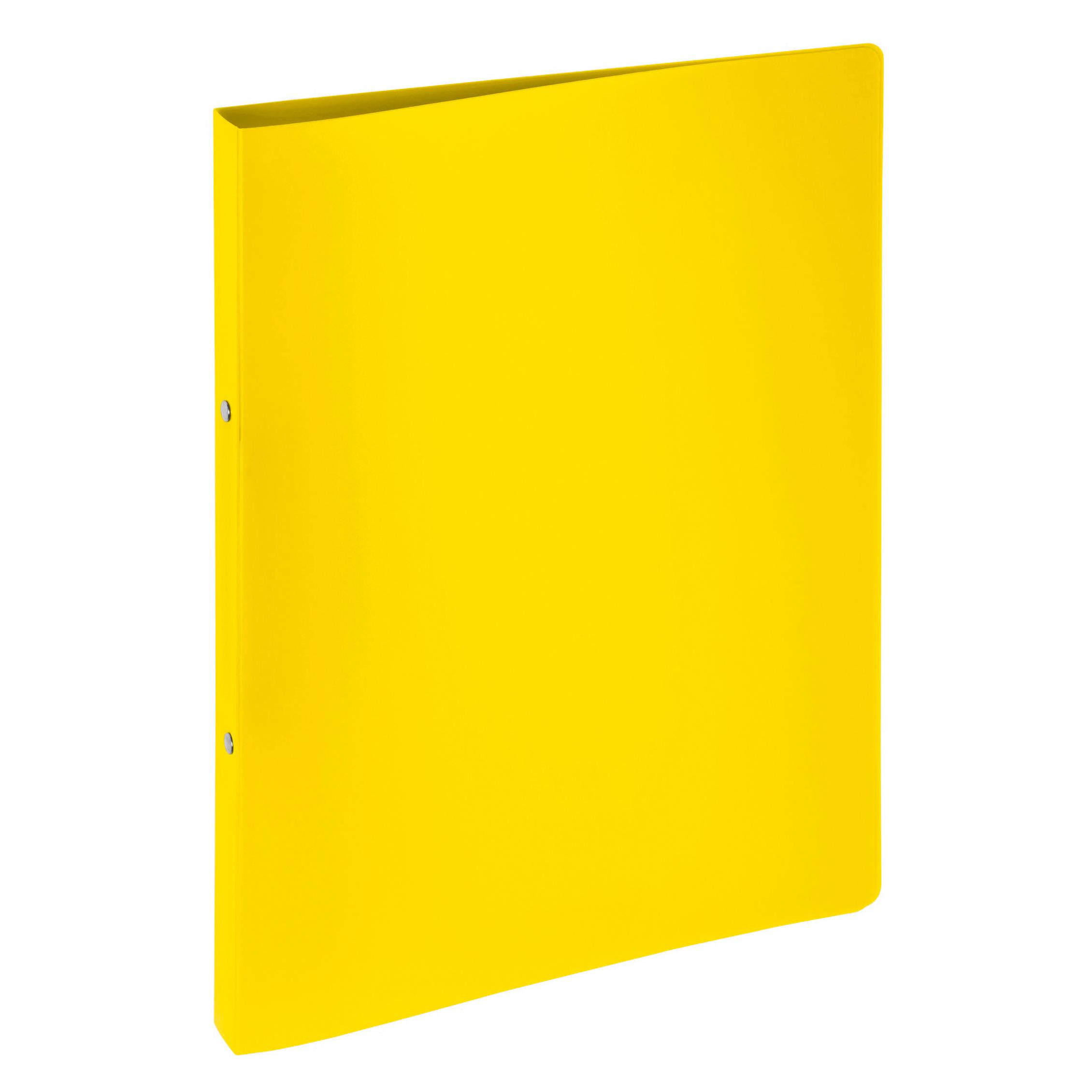 Pagna Ringbuch 16mm A4 (A4, 30 mm, 1 Stk.) (20901-04)