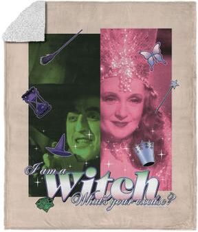 Warner Bros. The Wizard of Oz What's Your Excuse Silk Touch Sherpa Throw Blanket 50x60 Inches by THE NORTHWEST GROUP in Pink (Size OS)