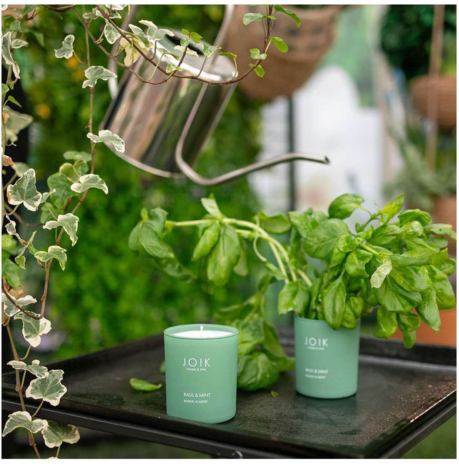 JOIK HOME & SPA SPA Scented Candle Basil & Mint 150g