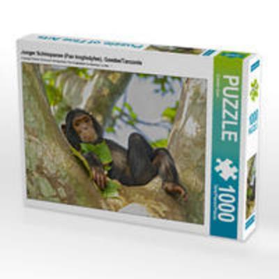 CALVENDO Puzzle Junger Schimpanse (Pan troglodytes), Gombe/Tanzania | 1000 Teile Lege-Größe 64x48cm Foto-Puzzle für glückliche Stunden