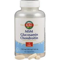 Msm Glucosamin Chondroitin Kal 90 ST
