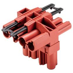 Wieland Electric 92.040.1153.5 Verteiler