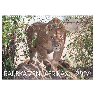 Raubkatzen Afrikas (Wandkalender 2026 DIN A3 quer), CALVENDO Monatskalender