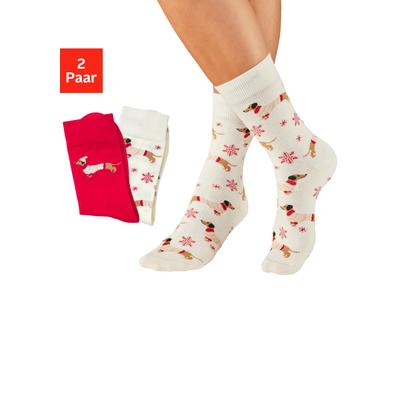 Freizeitsocken LASCANA "Damen Weihnachtssocken Dackel", Damen, Gr. 39-42, 1x rot, 1x ecru, Baumwollmischung, elastisch, Socken, mit festlichen Dackelmotiven