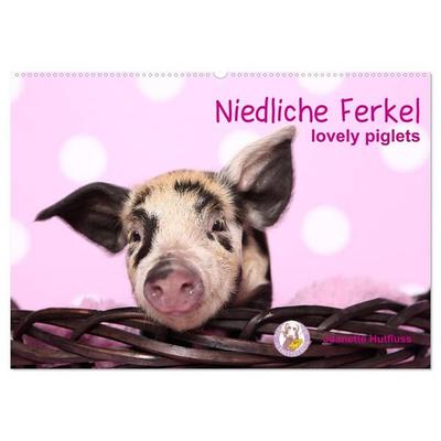 Niedliche Ferkel lovely piglets (Wandkalender 2027 DIN A2 quer), CALVENDO Monatskalender