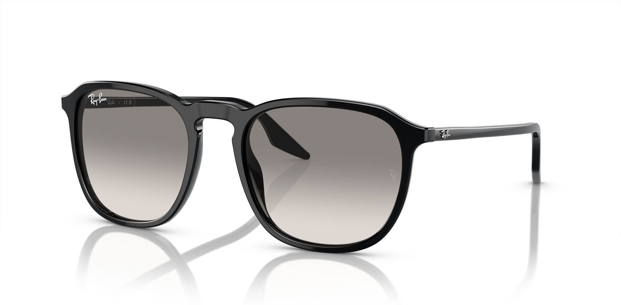 Sonnenbrille Ray-Ban RB 2203 (901/32) Damen