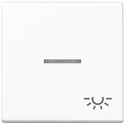 Jung Wippe Symbol Licht bel. A 590 BFKO5 L WW A590BFKO5LWW