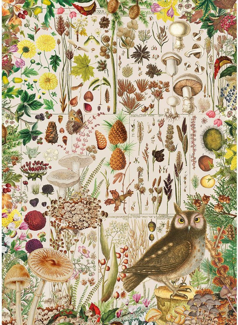 Gibsons Puzzel Herfstflora 1000 stukjes