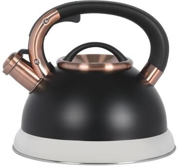 Mr. Coffee Flintshire 2.2 Quart Large Whistling Stainless Steel Tea Kettle