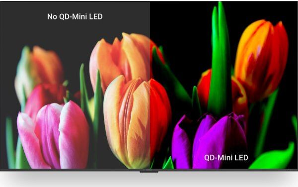 i3-technologies I3connect Cactus 75" Qled-Skærm
