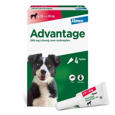 Advantage 250 Lösung f.Hunde 10-25 kg 4 St