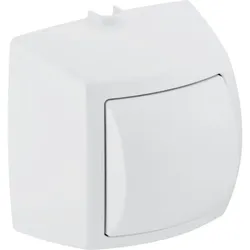 Geberit HyTouch WC-Handdrücker weiß-alpin 1-Mengen-Auslösung für Anstalten 240570111