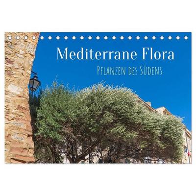 Mediterrane Flora - Pflanzen des Südens (Tischkalender 2027 DIN A5 quer), CALVENDO Monatskalender