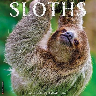 Sloths 2026 Wall Calendar