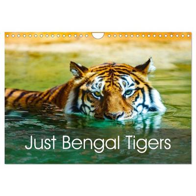 Just Bengal Tigers (Wall Calendar 2026 DIN A4 landscape), CALVENDO 12 Month Wall Calendar