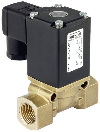 Bürkert Magnetventil 54154 0256 24V 1St.
