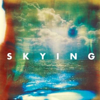 Skying - Reissue - The Horrors, Vinyl