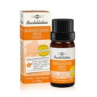 BACHBLÜTEN Murnauers Konzentrier Dich Globulini 10 g