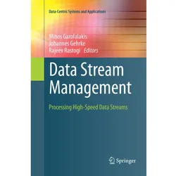 Data Stream Management, Fachbücher