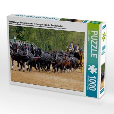 CALVENDO Puzzle Moritzburger Hengstparade: 16 Hengste vor der Postkutsche! 1000 Teile Puzzle quer | 1000 Teile Lege-Größe 64 × 48 cm Foto-Puzzle für