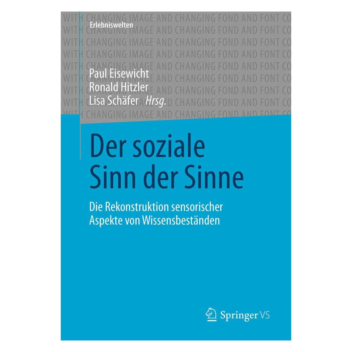 Springer Der soziale Sinn der Sinne (Lisa Schäfer, Paul Eisewicht, Ronald Hitzler, Deutsch) (35151924)