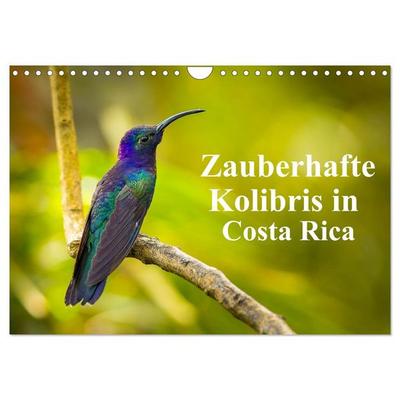 Zauberhafte Kolibris in Costa Rica (Wandkalender 2026 DIN A4 quer), CALVENDO Monatskalender