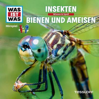37: Insekten / Bienen und Ameisen - Kurt Haderer, Audio, 4057664552228