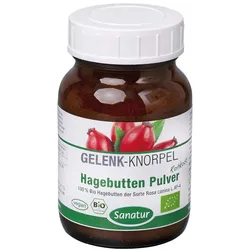 Bio Hagebutten - Pulver