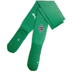 PUMA Team Borussia Mönchengladbach Plain Stutzenstrümpfe 2024/25 07 - archive green/puma white 31-34