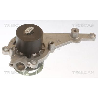 TRISCAN Wasserpumpe, Kühlkreislauf elektrischer Antrieb 860029100 für VW