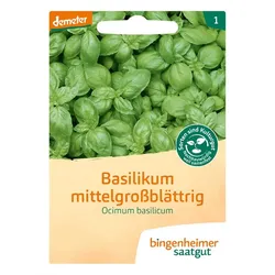 Basilikum mittelgroßblättrig - Ocimum basilicum