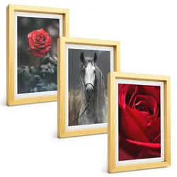 BILDER SET 3er Set - 20x30 cm Goldrahmen - Rote Rosen, Pferdegrau, Welt