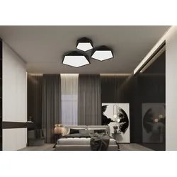 Immax 07151-B40 LED Deckenleuchte Perfecto 1x20W | 1420lm | 2700-6500K - intelligent, Fernbedienung, dimmbar, schwarz