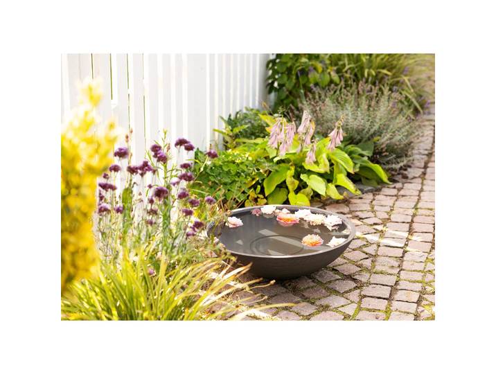 Garten Wasserschale Aldrenor – stilvolle Pflanzenschale in Dunkelgrau - Dunkelgrau - Luxusbetten24