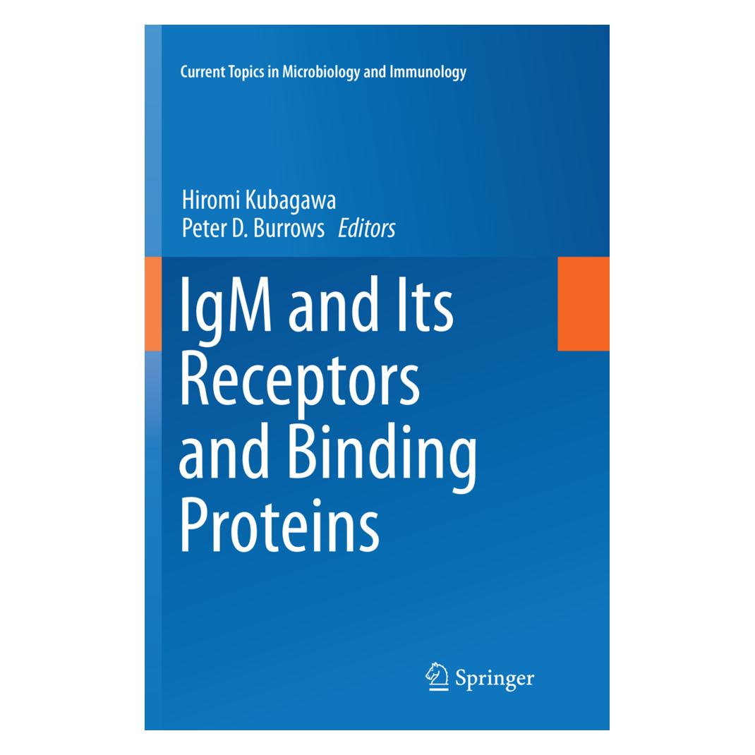 Springer IgM and Its Receptors and Binding Proteins (Englisch, Softcover, Hiromi Kubagawa, Peter D. Burrows) (56051848)