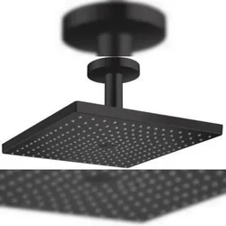 HG Kopfbrause Raindance E 300 1jet Decke