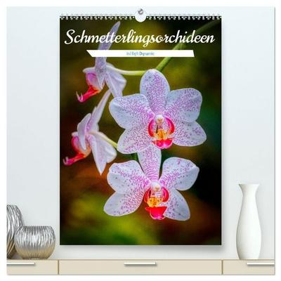 Schmetterlingsorchideen in High Dynamic (hochwertiger Premium Wandkalender 2027 DIN A2 hoch), Kunstdruck in Hochglanz