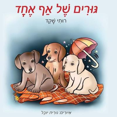 גורים של אף אחד - רותי שקד, Audio, 9789180445238