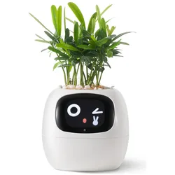 Plantsio, Blumentopf, Ivy Smart Planter