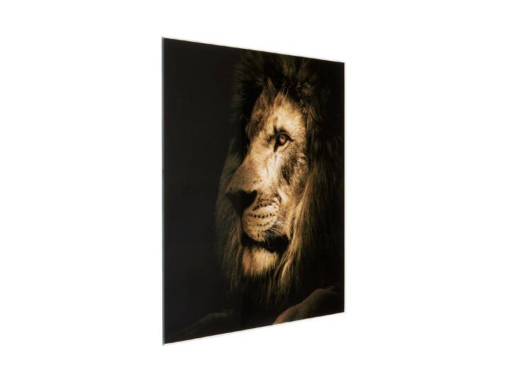 Glasbild 30x30 Lion