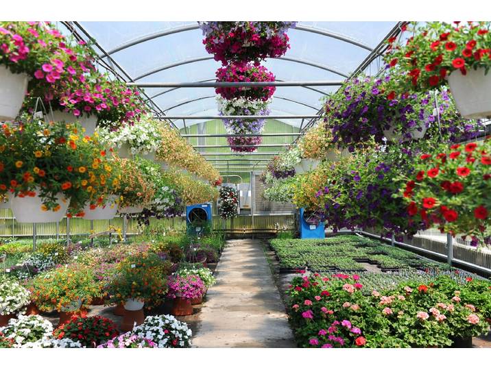 Fototapete PAPERMOON Wintergarten , bunt, B:2,5m L:1,86m, Vlies, Tapeten, Fototapete