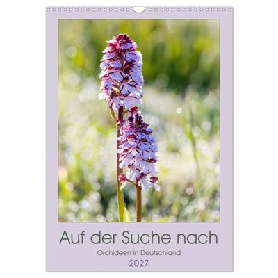 Auf der Suche nach Orchideen in Deutschland (Wandkalender 2027 DIN A3 hoch), CALVENDO Monatskalender