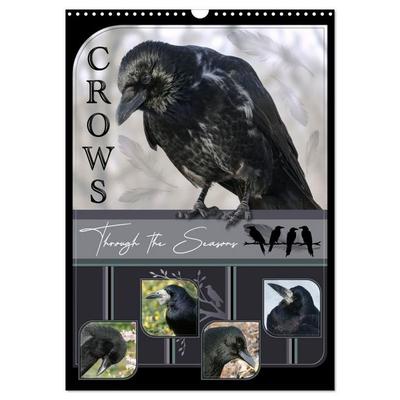 Crows - Through the Seasons (Wall Calendar 2027 DIN A3 portrait), CALVENDO 12 Month Wall Calendar
