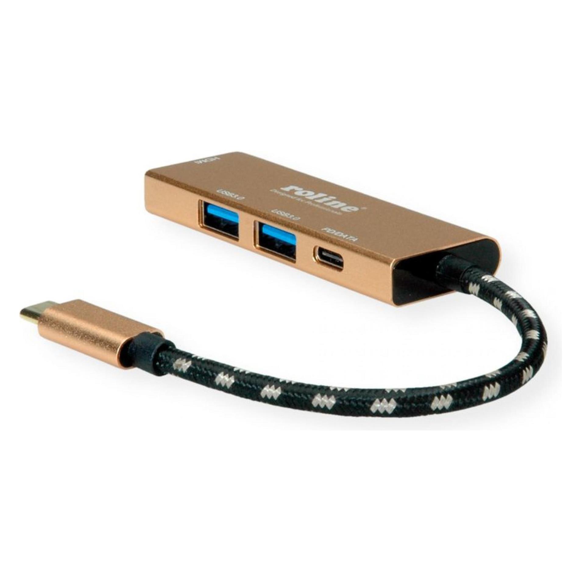 Roline USB Typ C Dockingstation (USB-C) (12.02.1119)