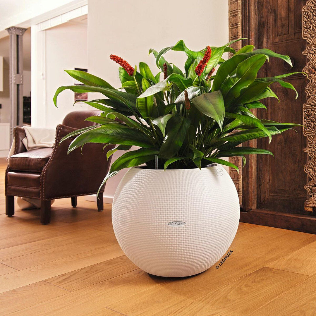 Lechuza Pot Planter Slate 50.5 cm H x 50 cm W x 50 cm D