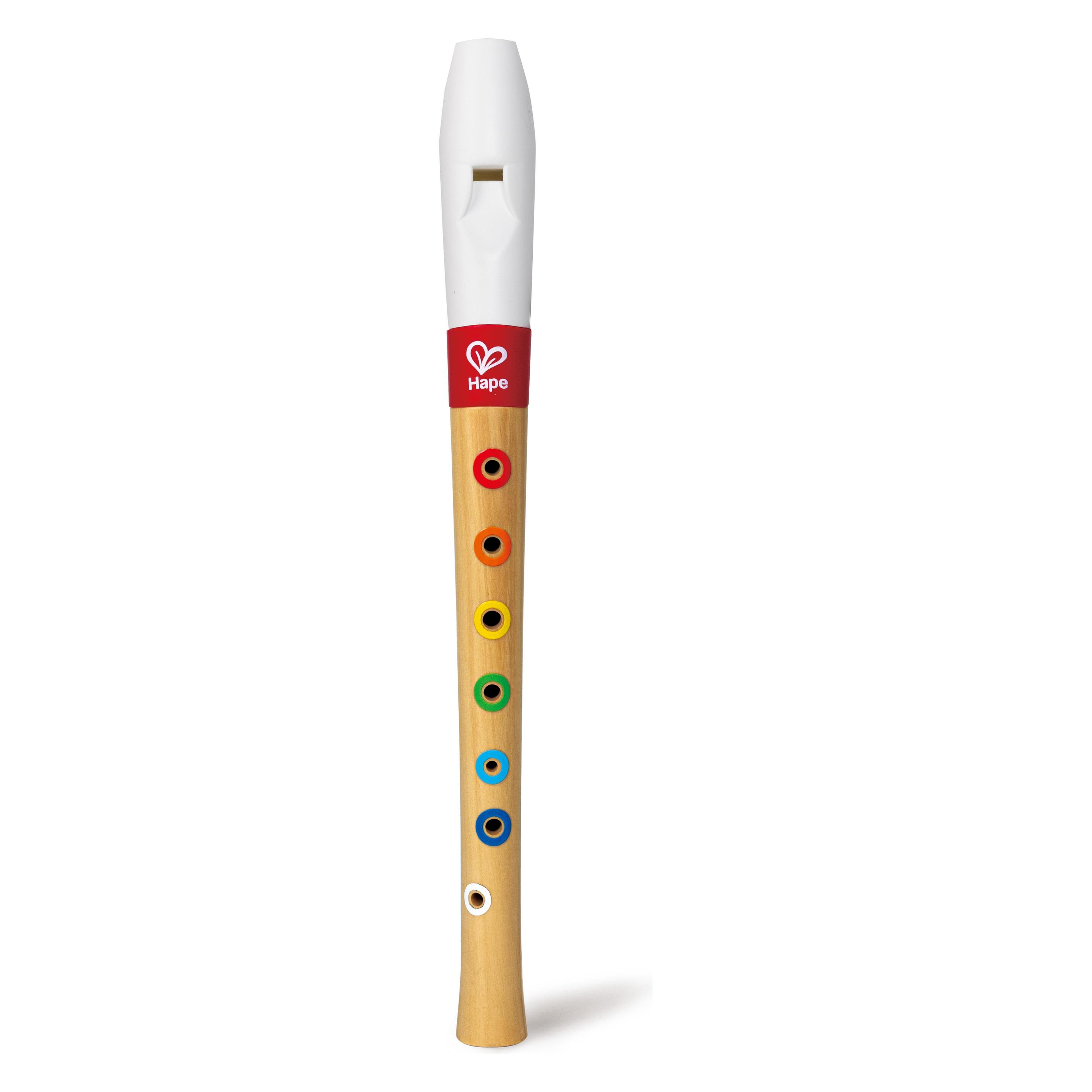 Hape Musician's Starter Recorder (E0640K)