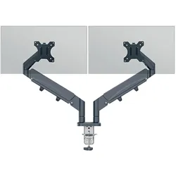 Leitz Ergo (Tisch, 32", 9 kg), Monitor Halterung, Grau